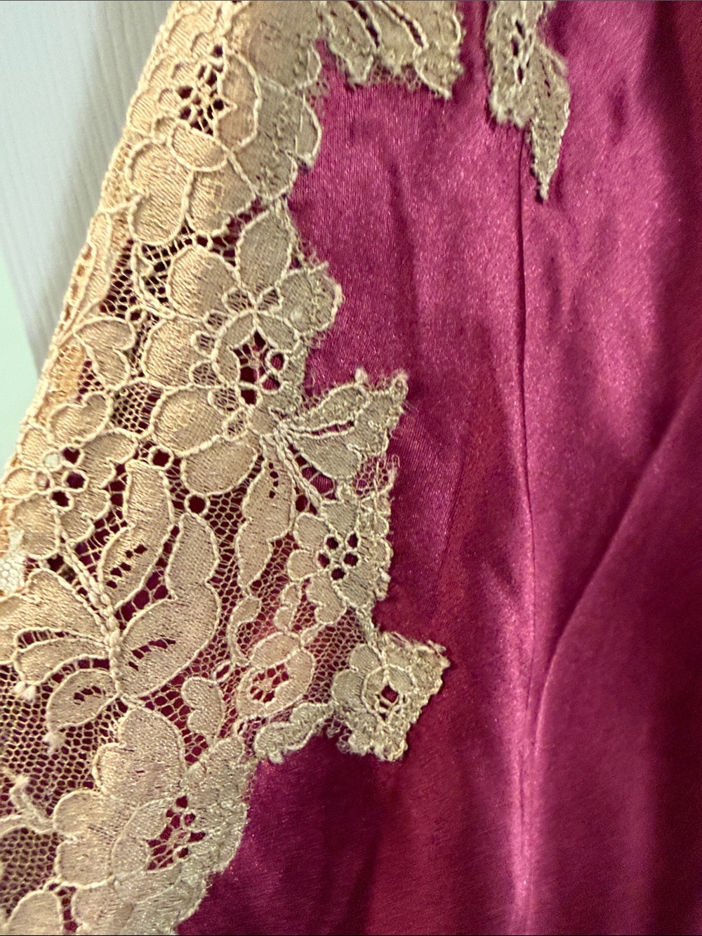 Leigh Bantivoglio -Cranberry Silk Chemise with Champagne Lace Trim - Picture 5 of 10